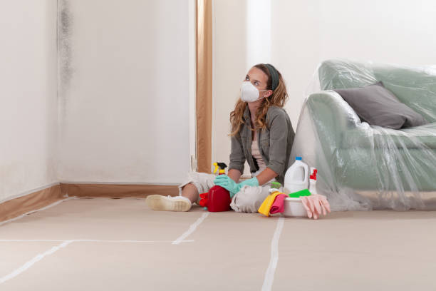 Reliable Black Mold Remediation contractor in Buckley, WA by Mold Remediation HQ